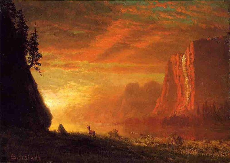Albert Bierstadt Deer at Sunset Spain oil painting art